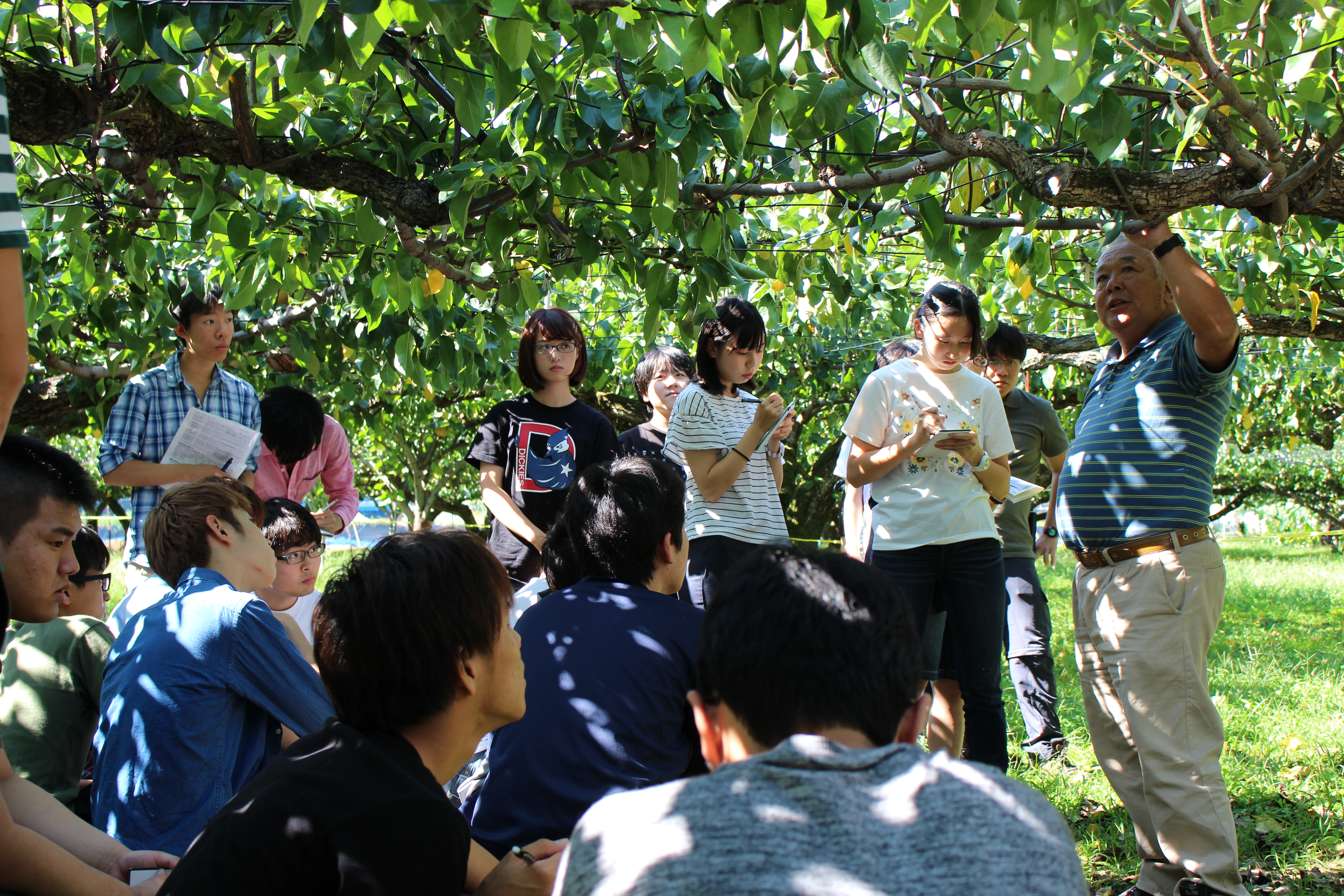 田村果樹園