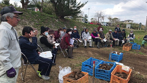 【連携協定地域活性化の役割担う】 果樹とヤムイモを活用　鹿児島県喜界町