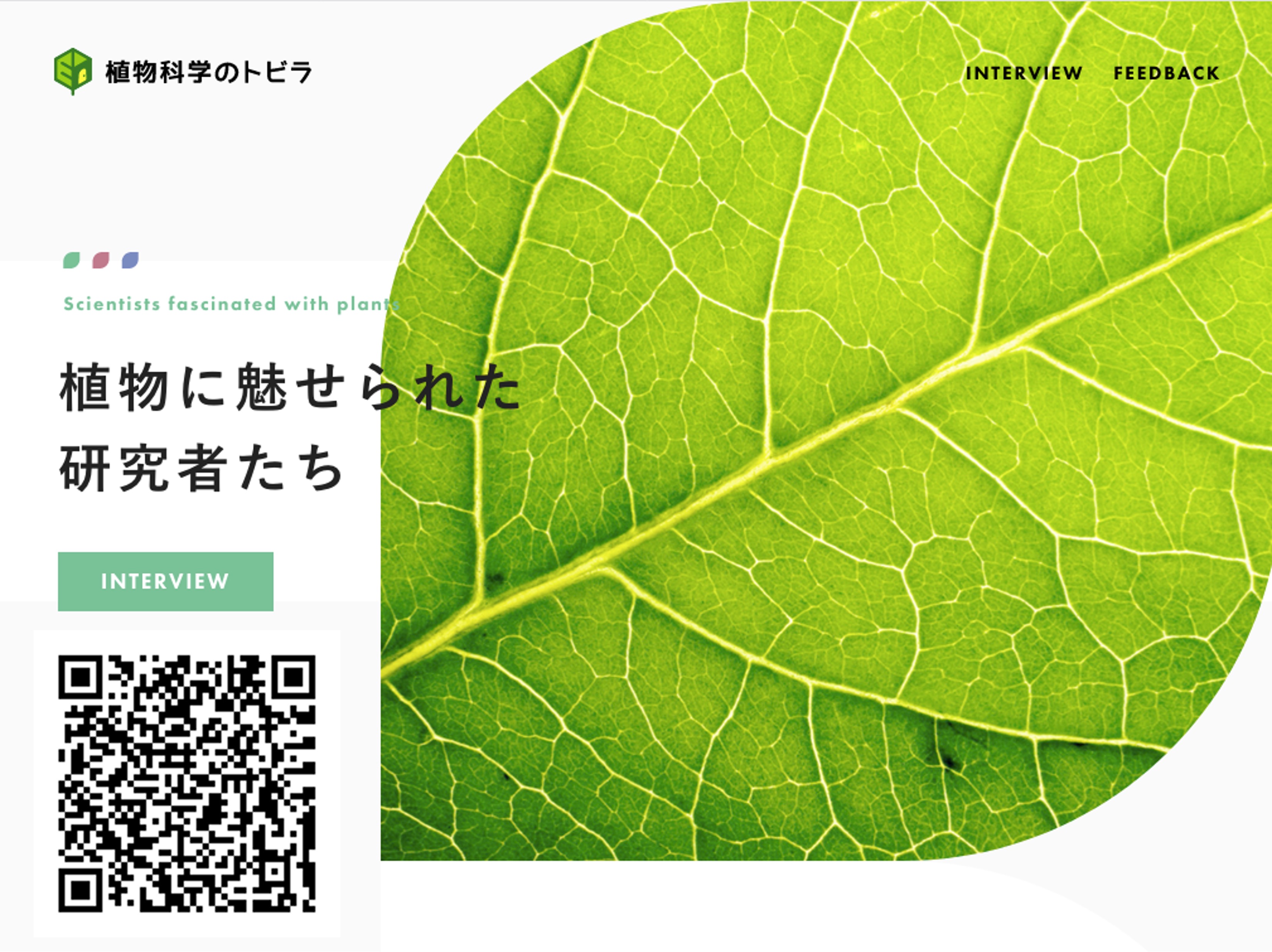 バイオサイエンス学科 太治 輝昭教授のインタビューがWEBサイト「植物科学のトビラ」に掲載されました。