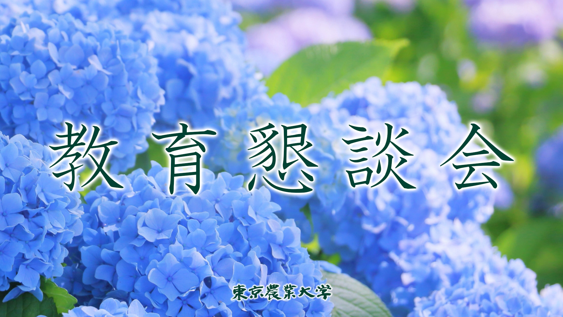2025年度 教育懇談会　6月・世田谷キャンパス開催