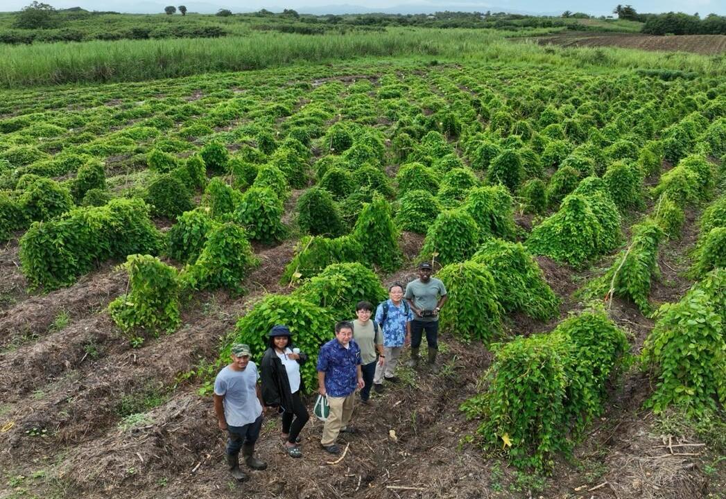 CIRADグアドループ研究所を訪問しました