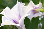 checktheweb_0189_img_06.jpg