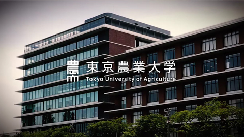 東京 農業 大学