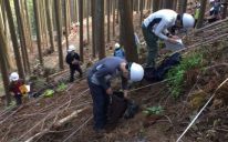 林床の植生調査実習