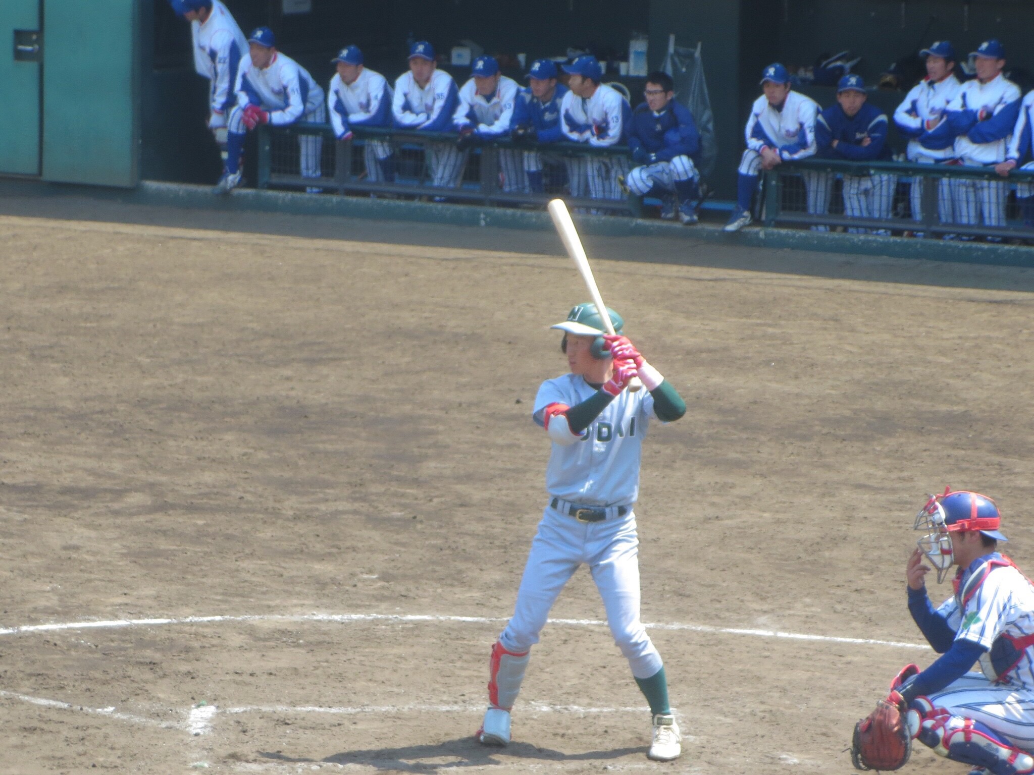 東京農業大学硬式野球部