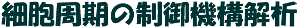 זE̐@\