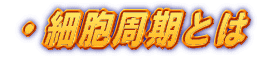 EזEƂ 