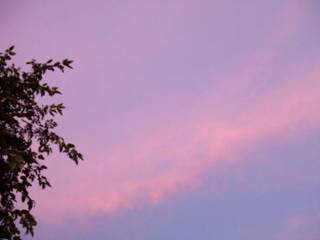 DSCF0089.JPG
