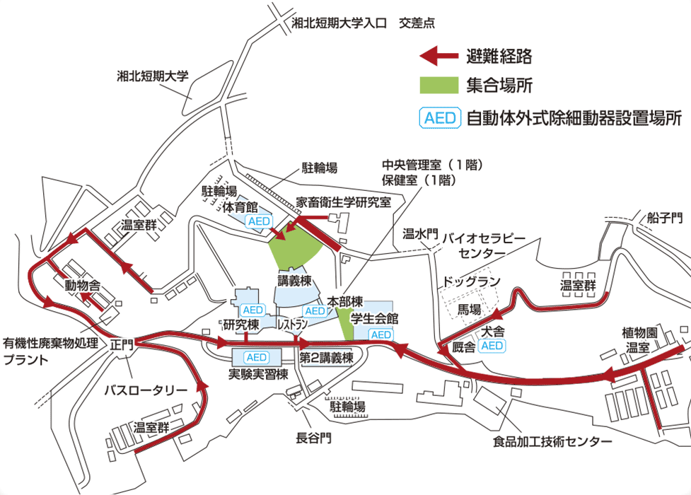 厚木ｷｬﾝﾊﾟｽ