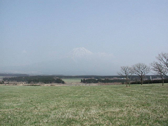 2005-04-08_12-40-31.jpg