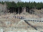 2005-04-08_12-46-31_thumb.jpg