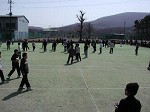 2005-04-09_10-30-31_thumb.jpg