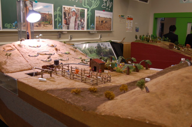 img0031.jpg
