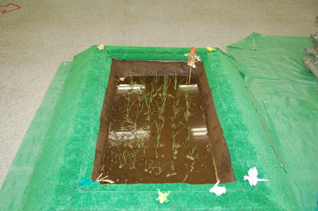 img0077.jpg