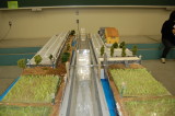 img0004.jpg