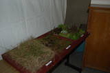 img0091.jpg