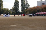 img0010.jpg