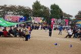 img0039.jpg