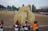 img0055.jpg