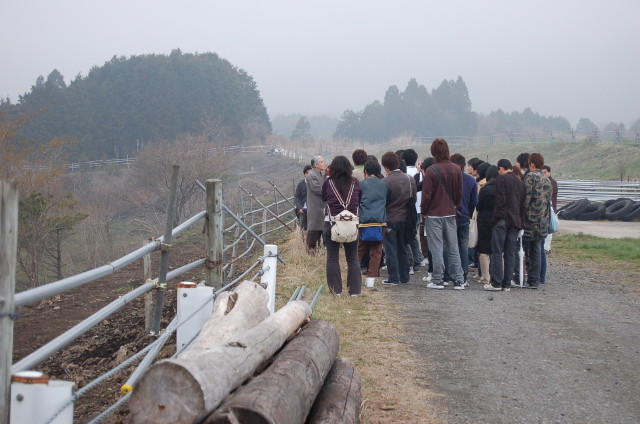 img0031.jpg
