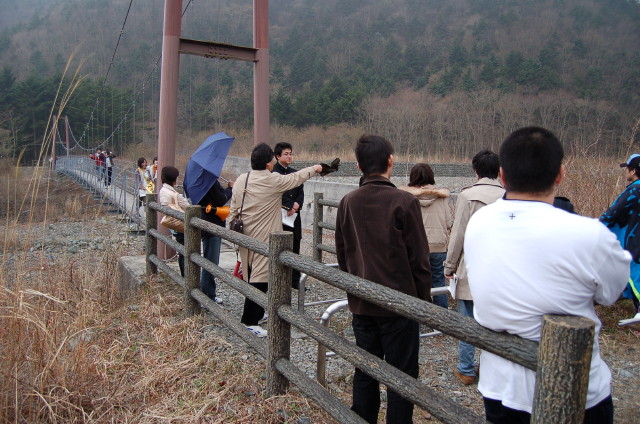 img0037.jpg