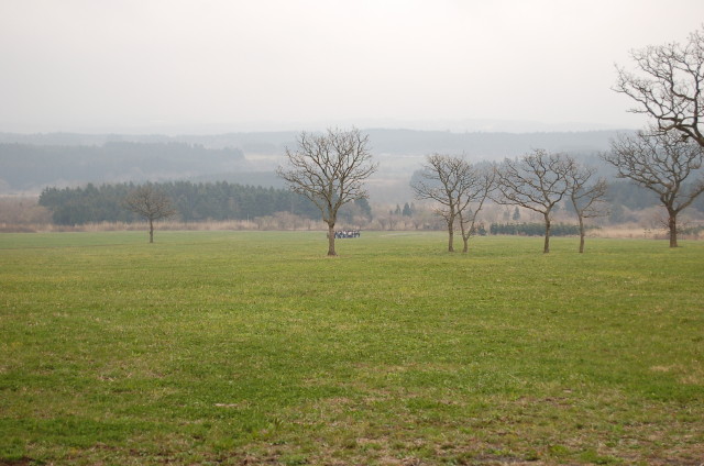 img0055.jpg