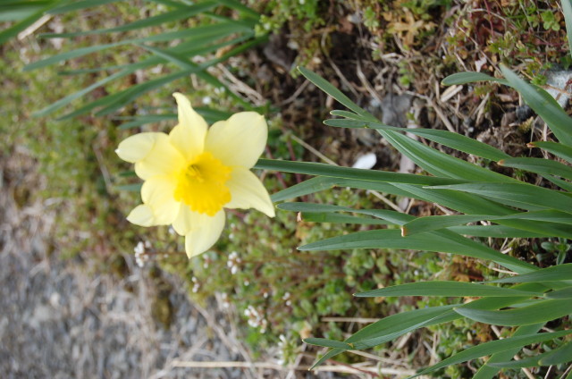 img0062.jpg