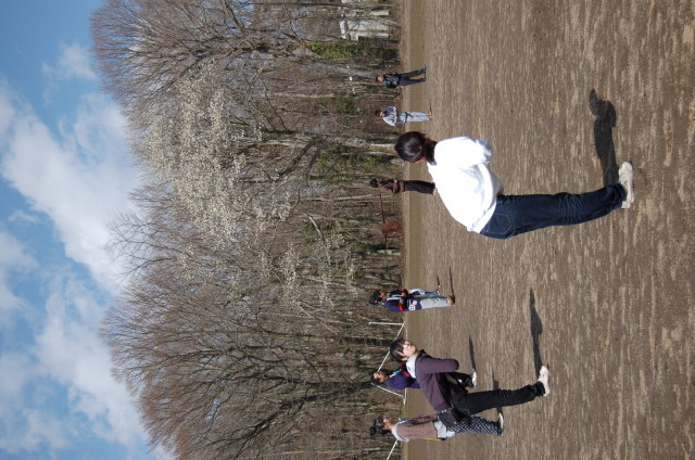 img0247.jpg