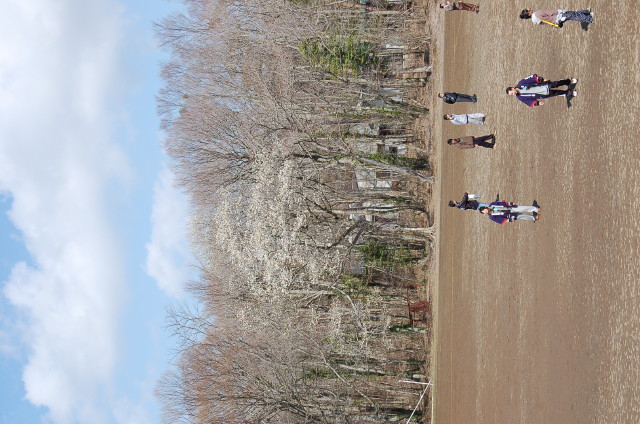 img0256.jpg