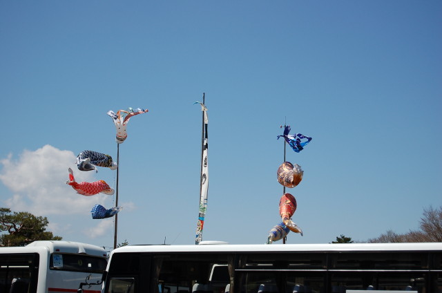 img0396.jpg