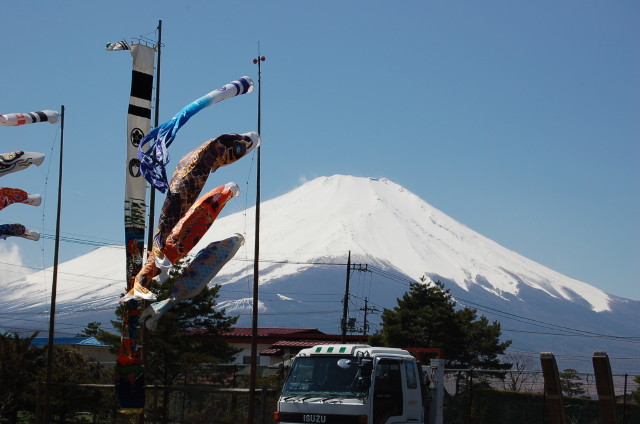 img0398.jpg
