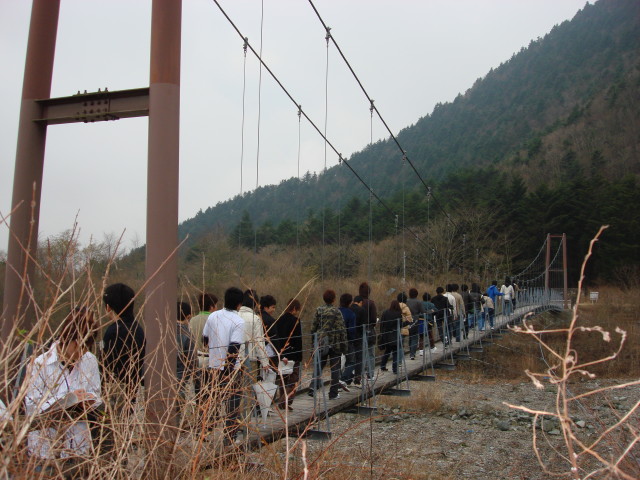 img0437.jpg