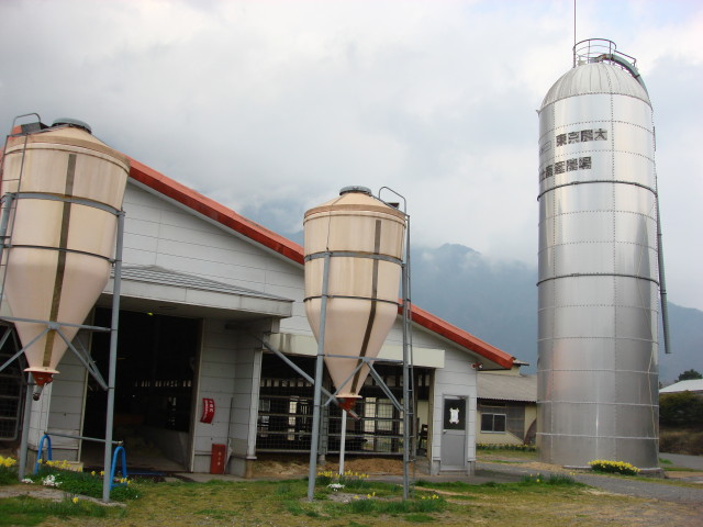 img0447.jpg