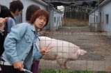 img0027.jpg