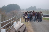 img0031.jpg