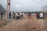 img0038.jpg