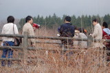 img0039.jpg