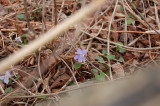img0044.jpg