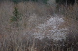 img0048.jpg