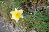 img0062.jpg