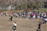 img0253.jpg