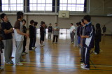 img0377.jpg