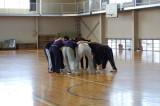 img0386.jpg
