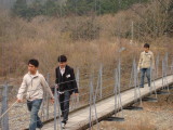 img0443.jpg
