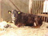 img0453.jpg