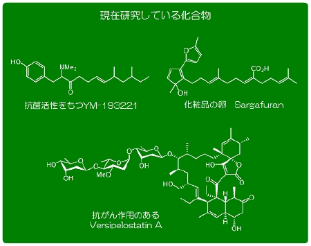 研究室HP用.gif