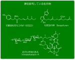 研究室HP用.gif