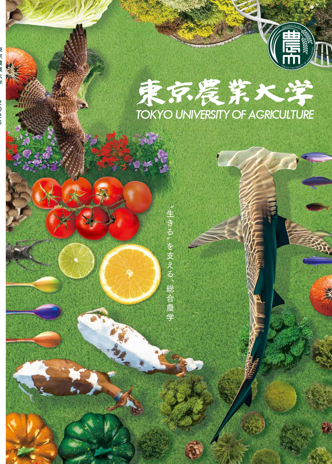 東邦大学　まとめ売り 東邦大学付属東邦中高等学校2023パンフレット