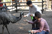 富士花鳥園
