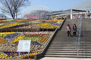 笛吹川フルーツ公園